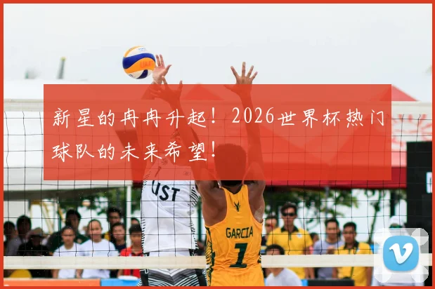 新星的冉冉升起！2026世界杯热门球队的未来希望！